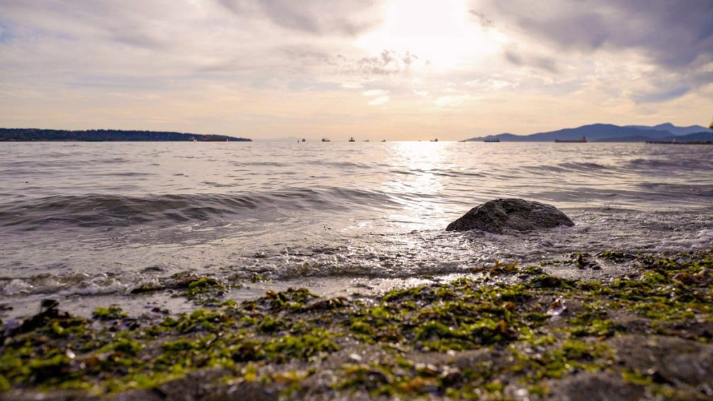 June 2021 Founder’s Message