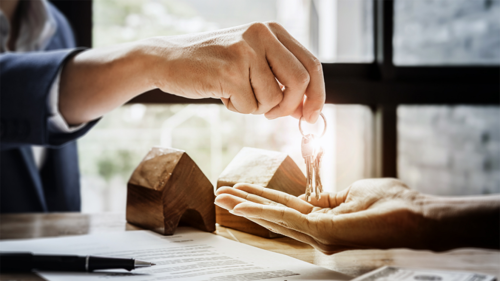 What You Should Know About Multiple Representation