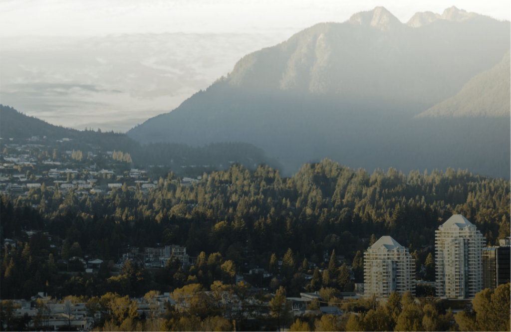 REBGV Market Update For January 2021 – Trend Continues From Last Year As Home Sales Activity Outpaced The Supply Of Homes.