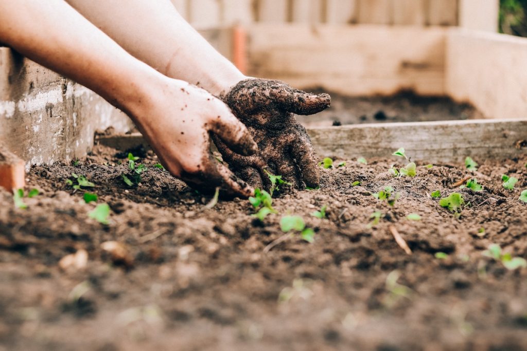 How To Use Sustainable Gardening Practices This Summer