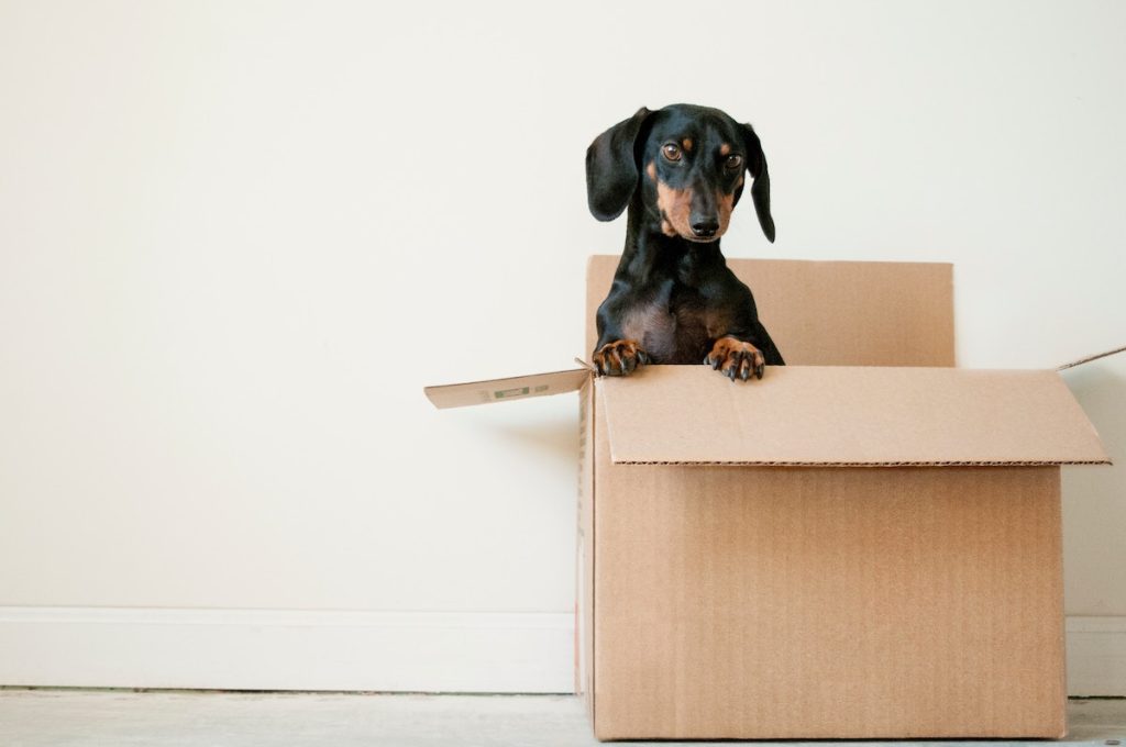 Planning on Moving? Here’s How to Find the Best Moving Company