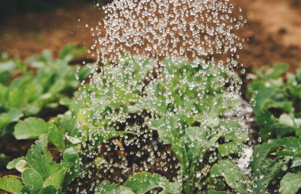 How To Minimize Water Use During This Drought Season